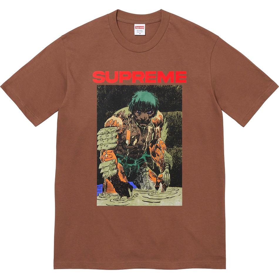 Supreme Ronin Tee Magliette Marroni | IT351QZ