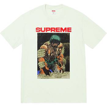 Supreme Ronin Tee Magliette Menta | IT353EX